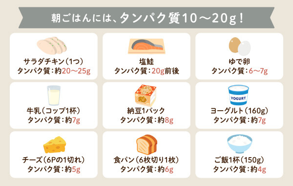 朝食に取り入れたい高タンパク質食材とタンパク質量の目安を紹介する図