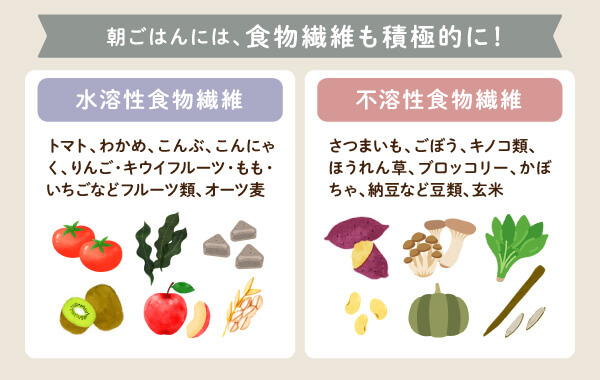 朝食で摂りたい水溶性・不溶性食物繊維の分類図