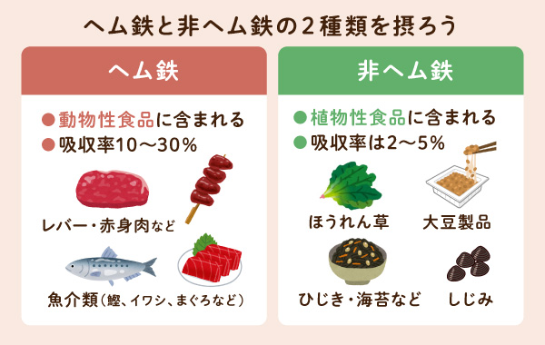 ヘム鉄と非ヘム鉄の食品と特徴・吸収率